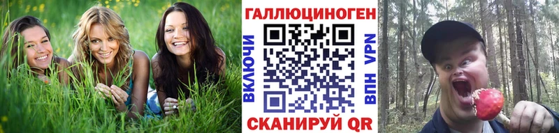 продажа наркотиков  нарко площадка официальный сайт  Галлюциногенные грибы мицелий  Альметьевск 